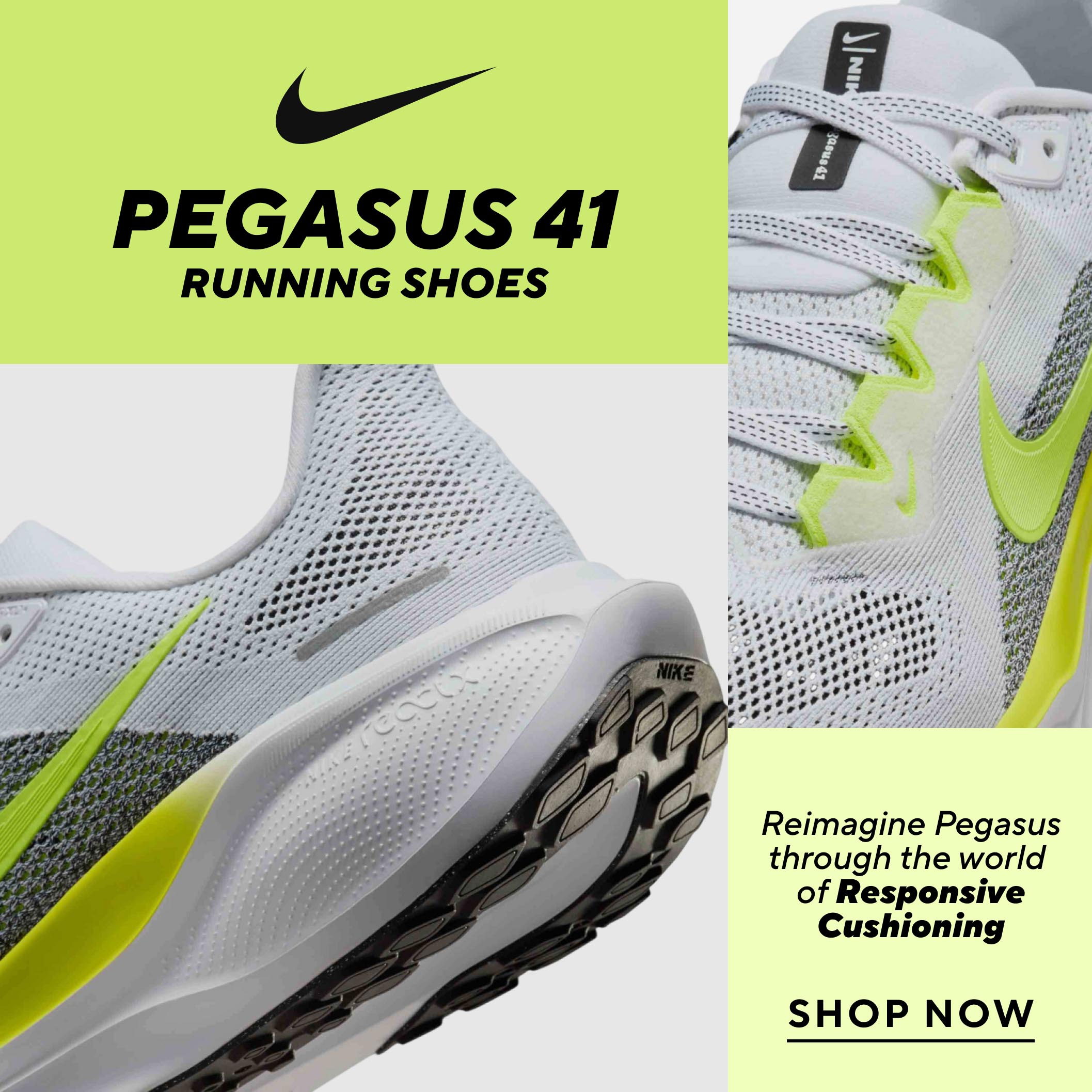 RSC040-HP-2W-d-1-2NikePegasus.jpg