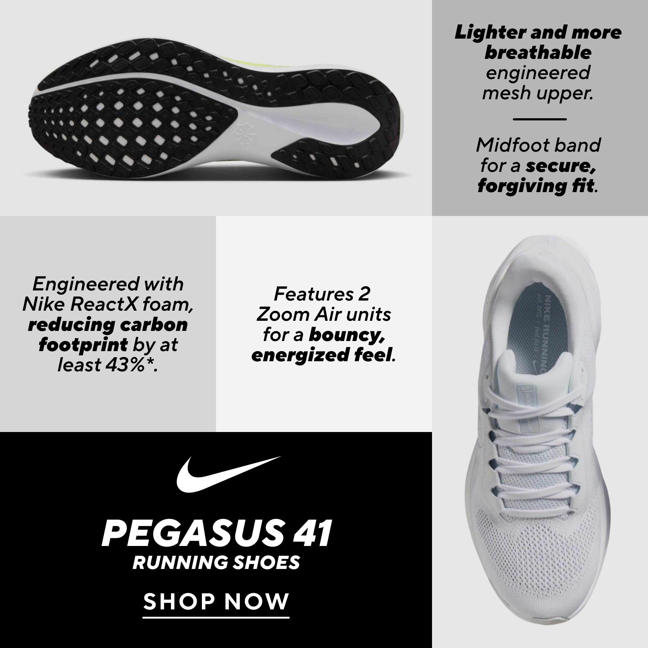 RSC040-HP-2W-d-1-2NikePegasus2.jpg