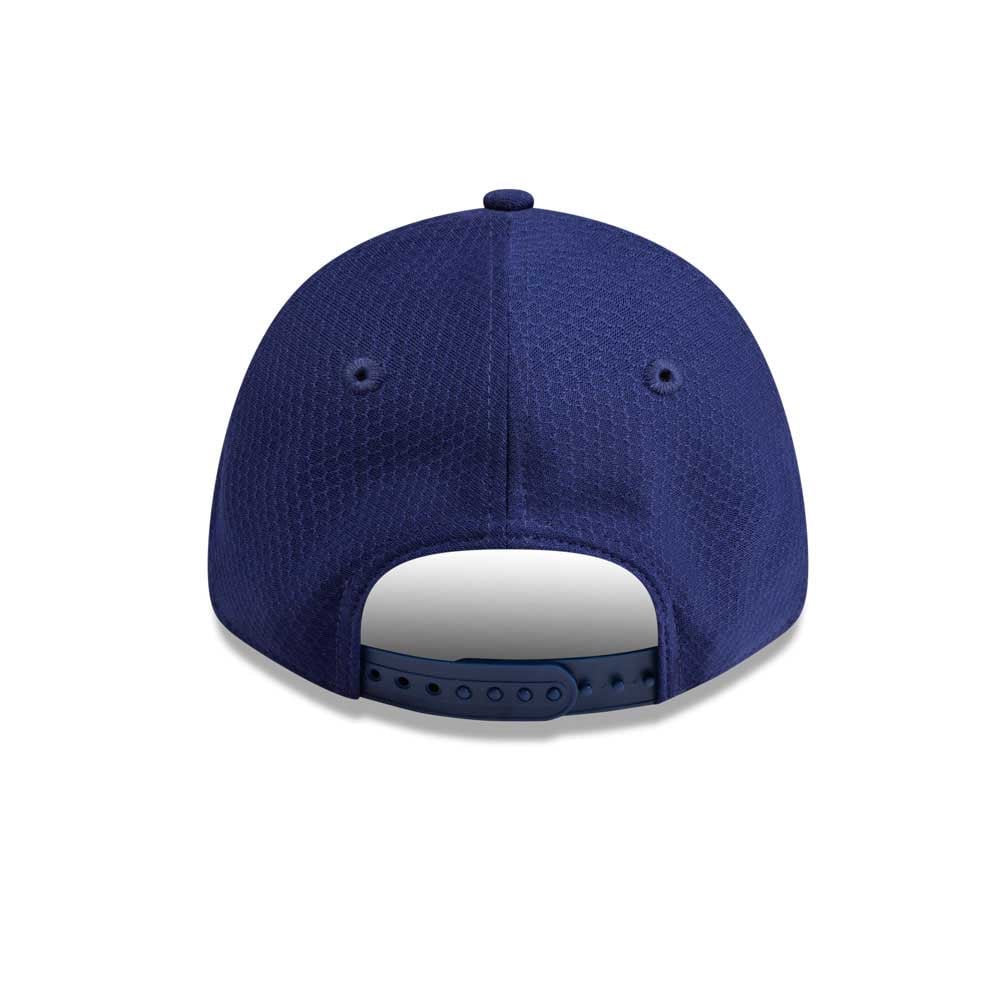 snapback dodgers