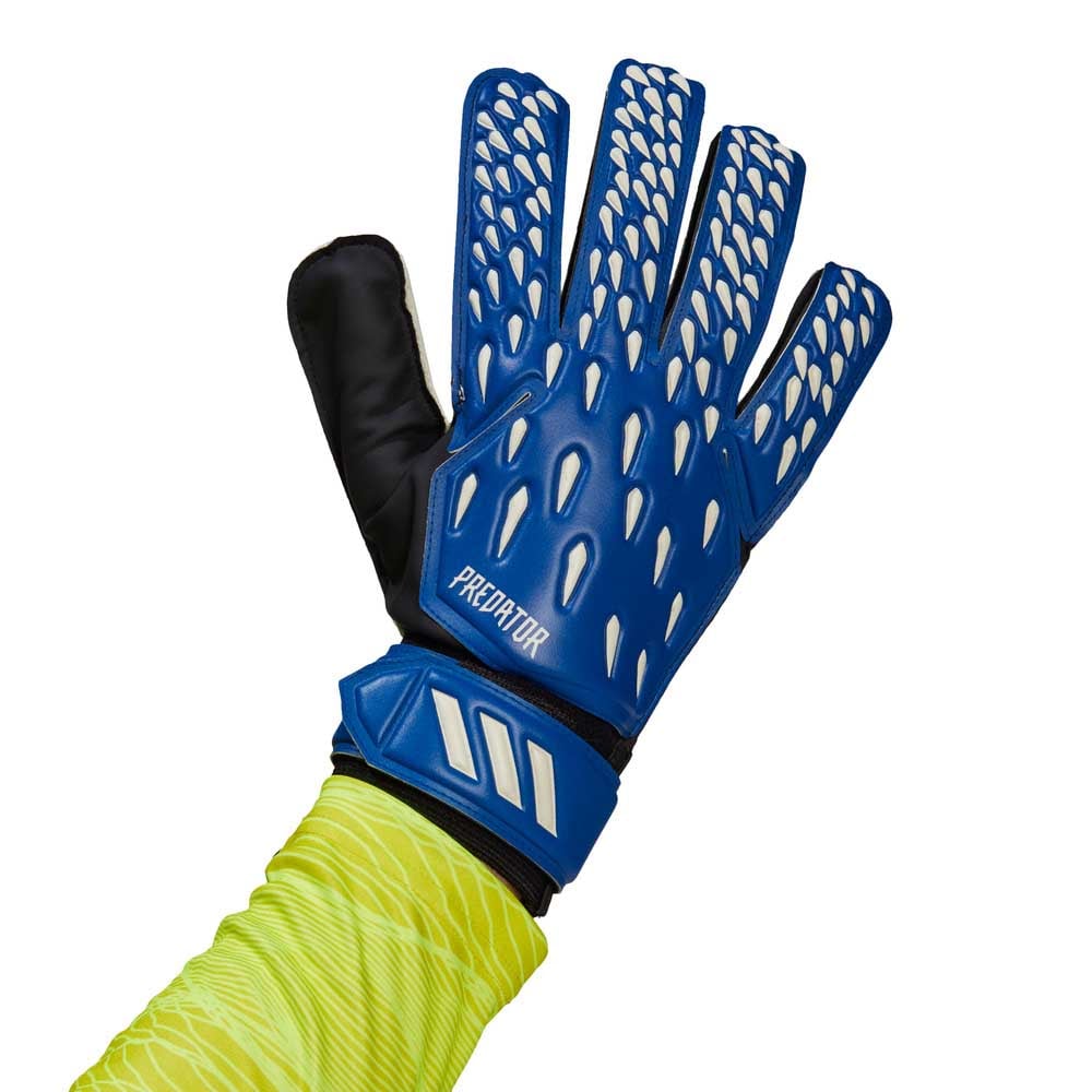 Shop Goalkeeper Gloves | Goalie Gloves | Rebel Sport | Rebel Sport