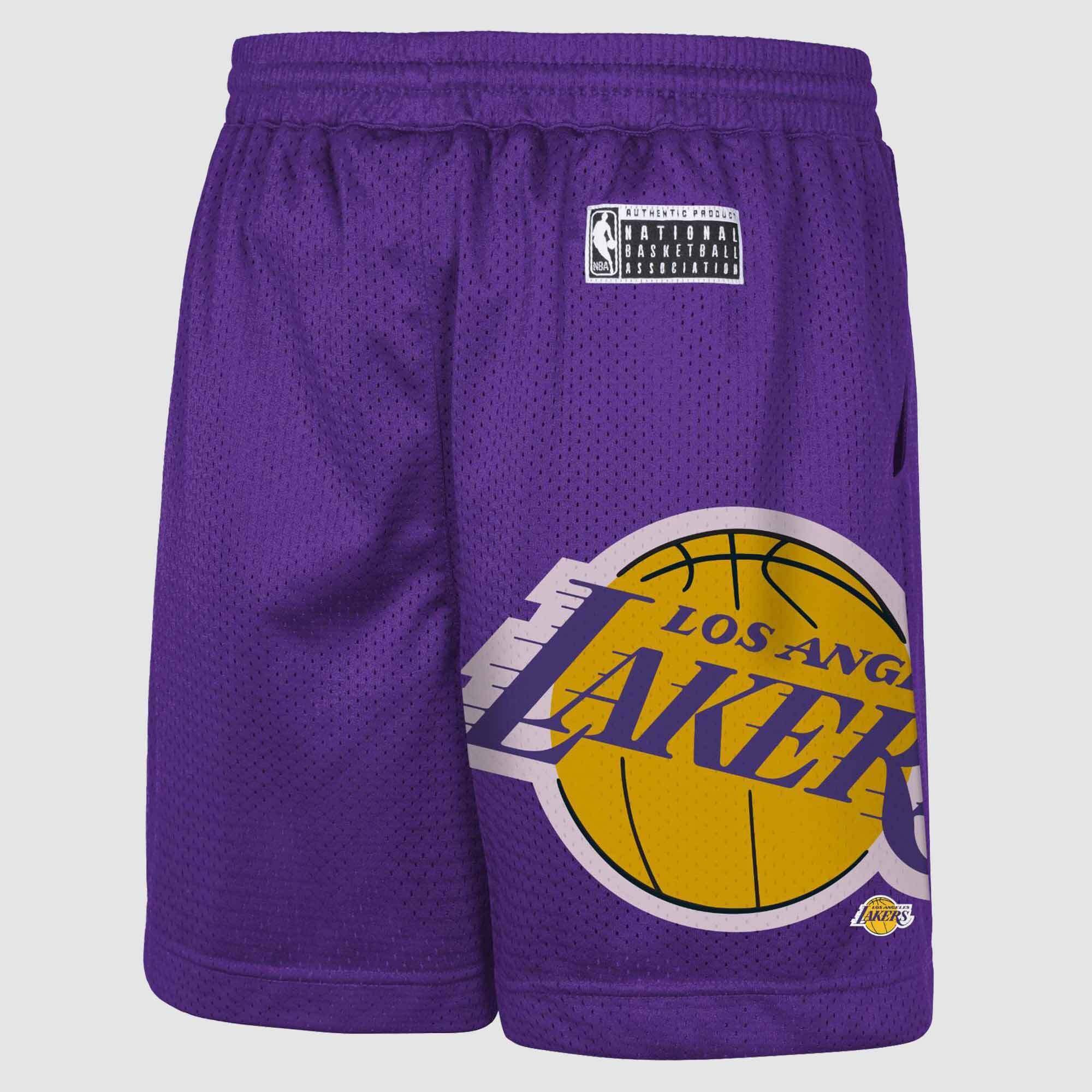 NBA Mens Essentials Los Angeles Lakers Hedley Mesh Short