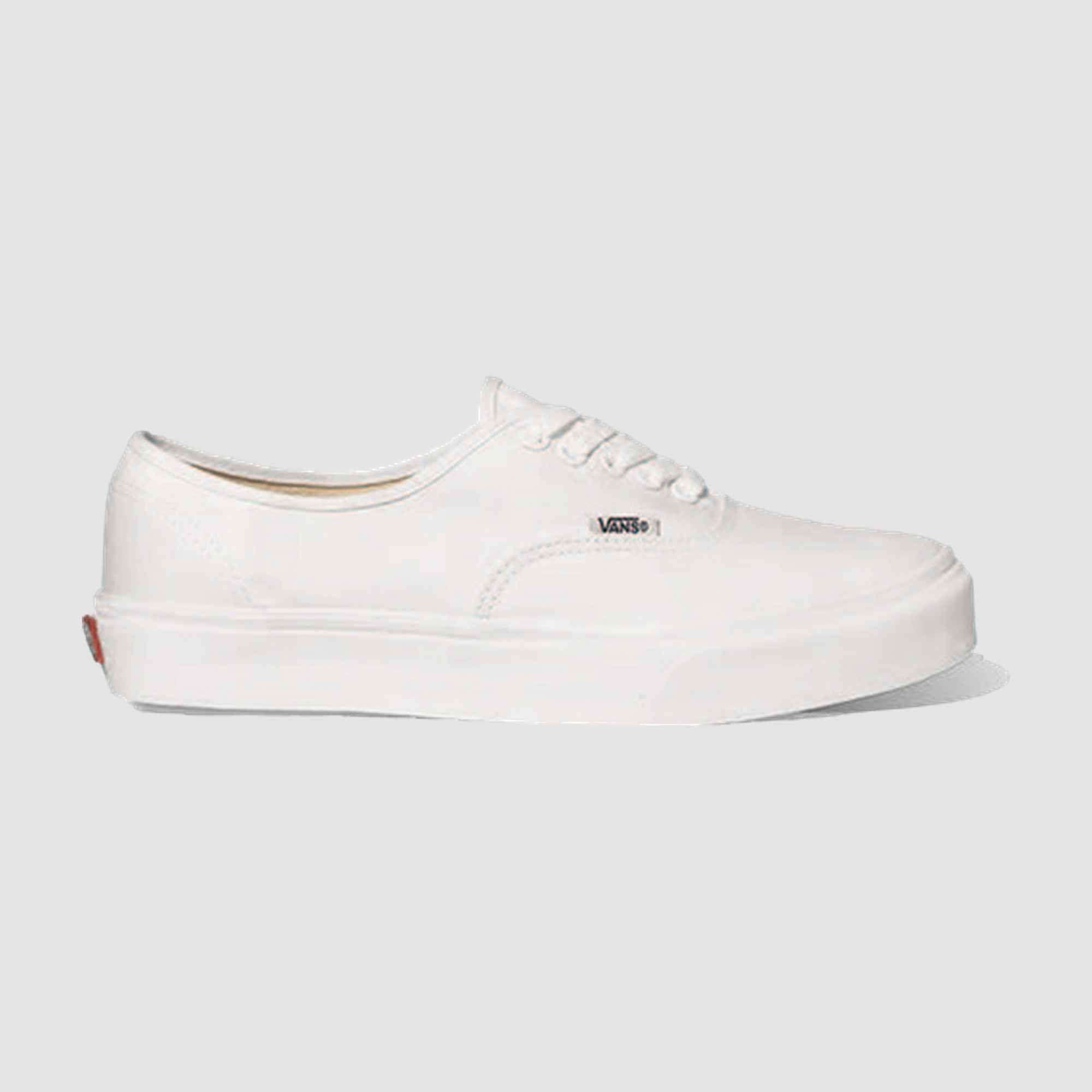 Vans Unisex Authentic Lifestyle Shoes